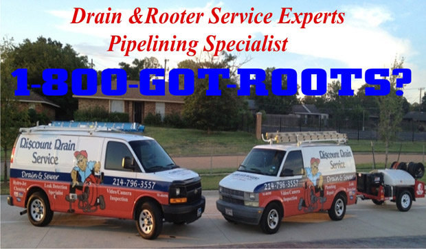 Our Services